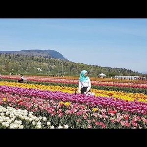 Meet your Posher, Mosammat